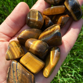 Tiger's Eye